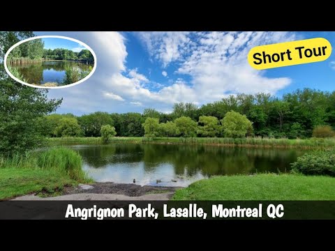 Angrignon Park, LaSalle, Montréal QC | Short Tour | Close To Nature | Navpreet Singh