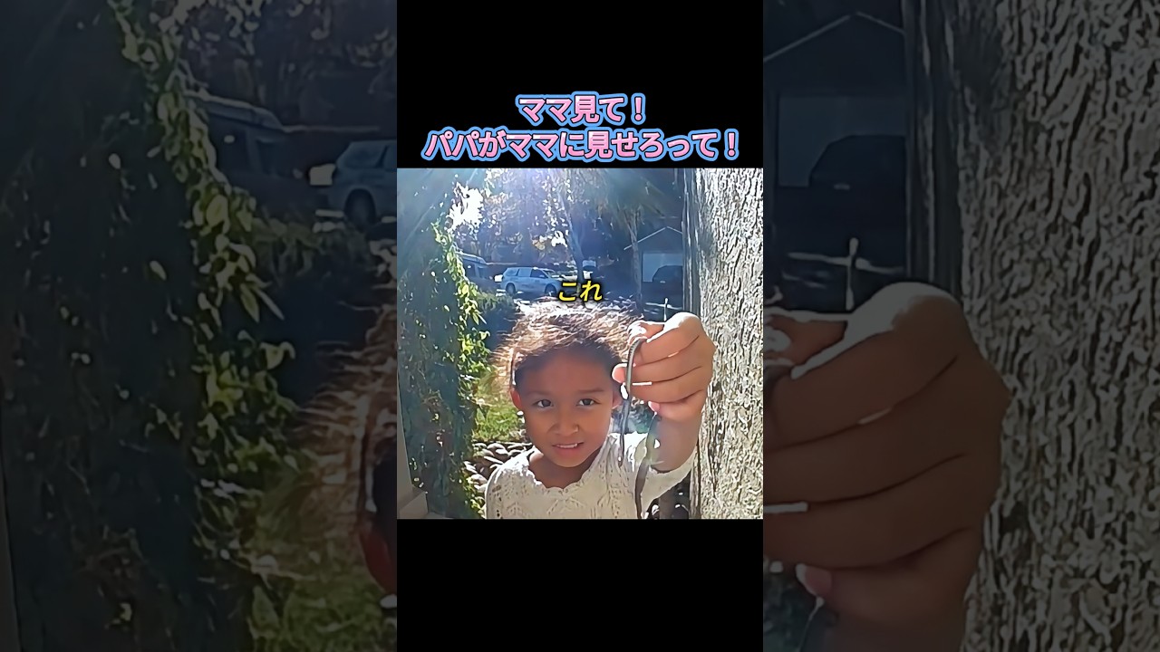 パパってみんな同じだよねｗ