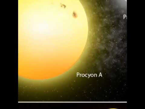 😎Estrella PROCYON😘