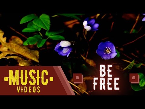 Be Free - Itawe (Major Lazer Remix) Music Video