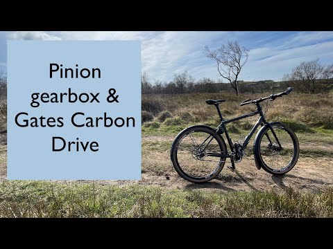 Pinion gearbox and Gates Carbon Drive. Don’t get brain washed to think you need anything different.