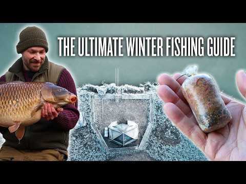 The Complete Guide To Winter Carp Fishing | Location, Rigs, Bait, Tactics, Tips and More!
