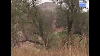 preview picture of video 'Pirámides de Teotihuacan 21 de Marzo'