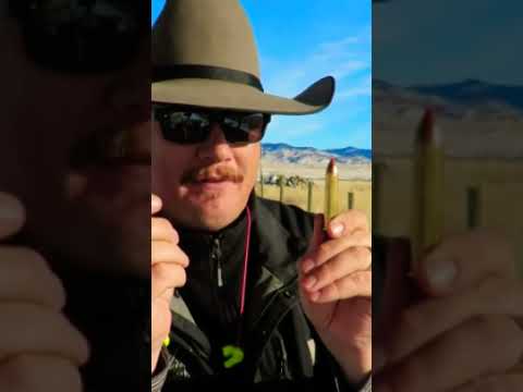 INSANE AMMO!! 45-70 Hornady LeverEvolution 250gr Monoflex Ammo Test