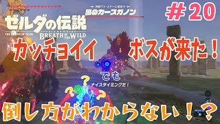 【BtoW】この世の原理を知らない　寄り道がメインのゼルダの実況　20
