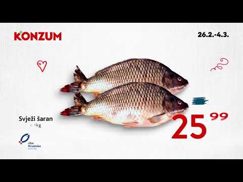 Domaća riba 27.2. - 4.3.