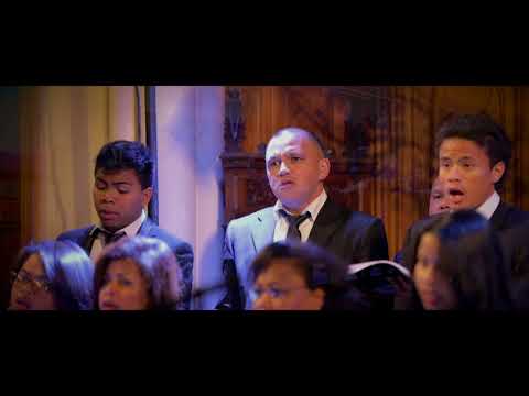 AMF VATOFEHIZORO   Ty firenena ity