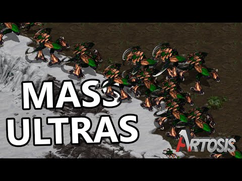 Crazy Zerg - Hero vs. Sorry