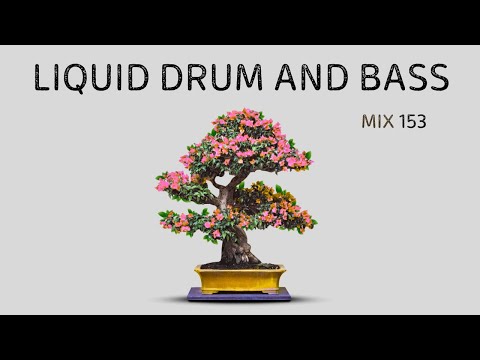 Liquid Drum and Bass Mix 153 - July 2025