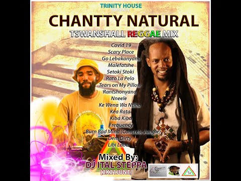 DJ ITAL STEPPA -  CHANTTY NATURAL [TSWANSHALL REGGAE MIX] 2021