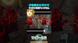 刀を構えただけでラスボスを倒すリンクさん【ゼルダの伝説】