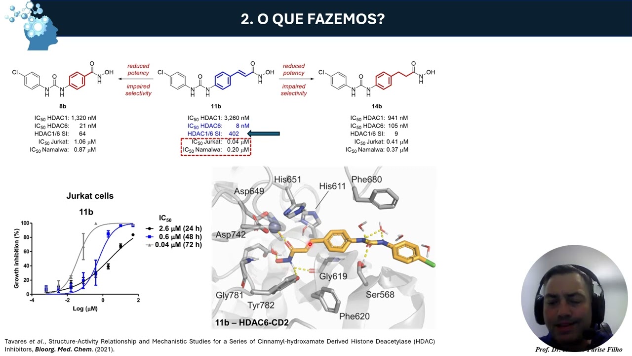 Apresentação INCT Inofar