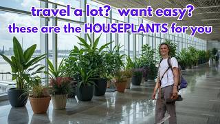 10 Ultra Easy HOUSEPLANTS for Frequent Travelers - Low Water Needs, Low Maintenance