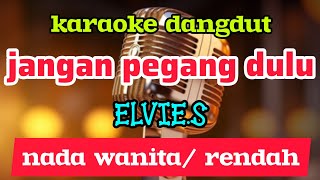 Download lagu karaoke dangdut lawas JANGAN PEGANG DULU elvie Sukaesih nada CEWE mp3