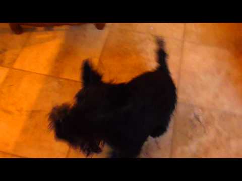 Mary Pat's Breakfast TIme