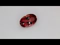 Tormalina Bicolor taglio ovale, 5.67 ct Video 1