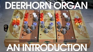 Video thumbnail for Ciat-Lonbarde Deerhorn Organ - An Introduction by HAINBACH