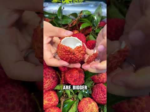 China’s Seedless Giant Lychee! #food #experiment #fruit #pineapple #streetfood