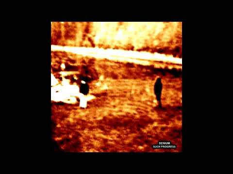 Senium - Such Progress (Full Album 2011) (New Grunge Music)