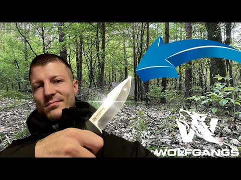 Das neue W1 von Wolfgangs