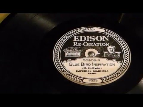 Blue Bird Inspiration