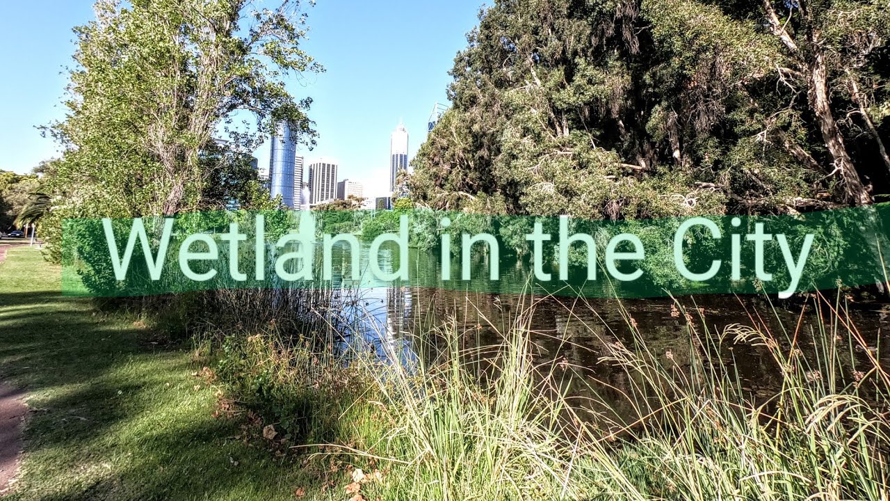 Discover the captivating visuals of John Oldham Park.