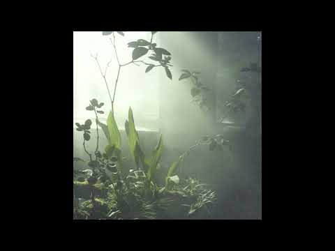 [FREE] Dudu x Yunk Vino x Leozin Type Beat -- *Clouds* || (Prod. Sub)