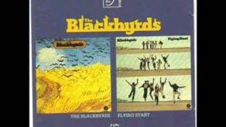 The Blackbyrds  "Future Children Future Hopes"