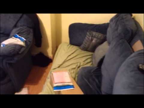 Seven arrests in 'sham' marriage raids