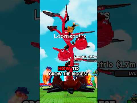 I Grow The Biggest Tomatrio in Plants vs Brainrots🍅#roblox #plantsvsbrainrots