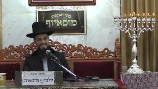 הרב שקד בוהדנה • ההבדל בן חנוכה ופורים (בית הכנסת מוסאיוף - ערוץ חדש) - התמונה מוצגת ישירות מתוך אתר האינטרנט יוטיוב. זכויות היוצרים בתמונה שייכות ליוצרה. קישור קרדיט למקור התוכן נמצא בתוך דף הסרטון