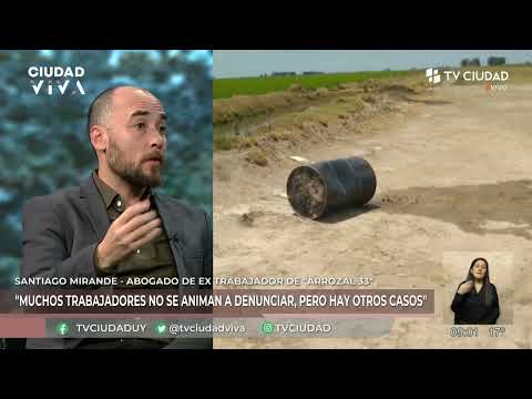 Ciudad Viva - El juicio contra "Arrozal 33" y el pronunciamiento de la corte