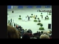 Funeral Service,Bringing Brother André's Heart Into Olympic Stadium montreal
