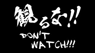 Don't watch!!　観るだけ損するクソみてェな動画