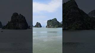 Best Cruise experience Ha-Long Bay🛳🇻🇳🐉#Hanoi #travelvlog #fyp #foryou #shorts #Vietnam #travelshorts