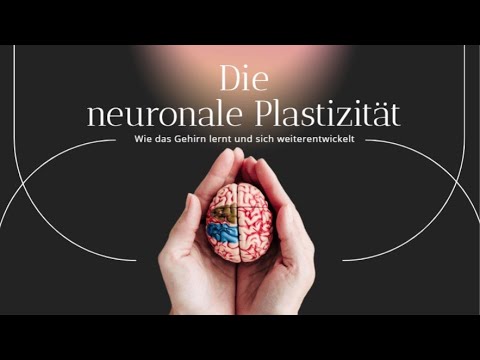 Lerne wie dein Gehirn lernt (Neuronale Plastizität)