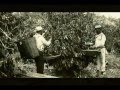 Morro Velho - Joyce/Pena Branca e Xavantinho e Milton Nascimento - Raridade.