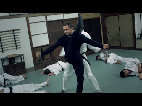 Fabien Garcia vs 10 Black Belts (Die Fighting)  -  1080p HD