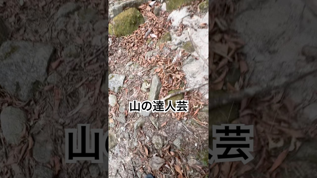 落ちてる棒を操る職人　#shorts