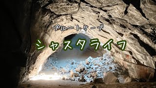 [ シャスタライフ ] 陰陽のエネルギー | プルートケーブ