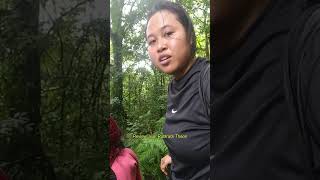 Download lagu HONEST REVIEW OF GOOD SHOES mp3 Download lagu HONEST REVIEW OF GOOD SHOES mp3