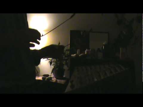 Afsoon, Sina bathaie , Santur (Hammered dulcimer),