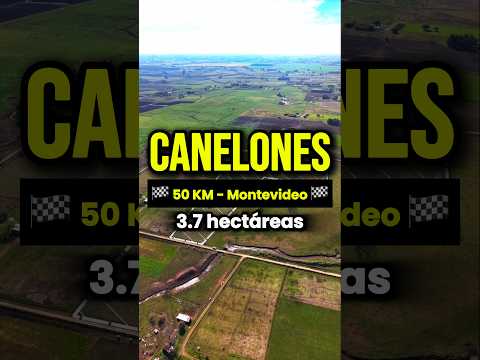 Chacra en Venta en Canelones - Tierra de alta productividad