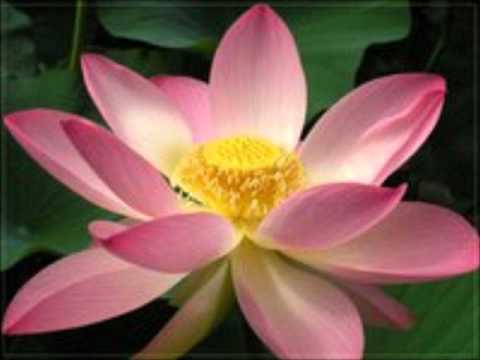 ali babahan gitme piyano versiyonu