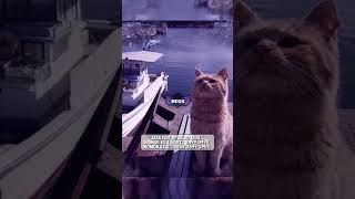 Download lagu PRESET DJ DALINDA SLOW BY DRV 411 mp3