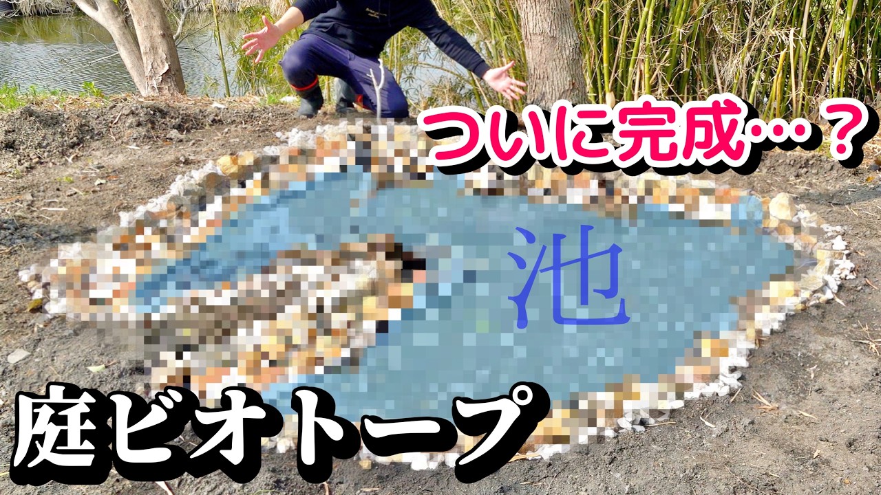 隣に川がある庭に池を掘ると…【ビオトープ②】