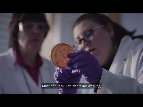 Learn more about our Medical Lab Technology and Medical Lab Science Programs