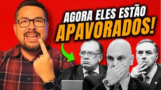 🚨 PAULO FIGUEIREDO: MINISTROS DO STF ESTÃO APAVORADOS