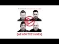 Building 429 - We Won't Be Shaken - About The ...