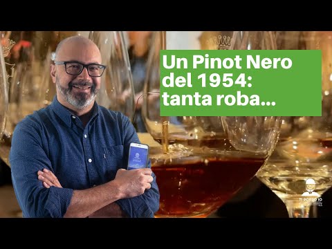Un Pinot Nero aperto 67 Anni dopo: com'è? Parlano gli Esperti
